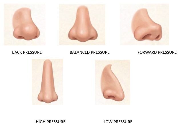 Tongue pressure directions and facial development